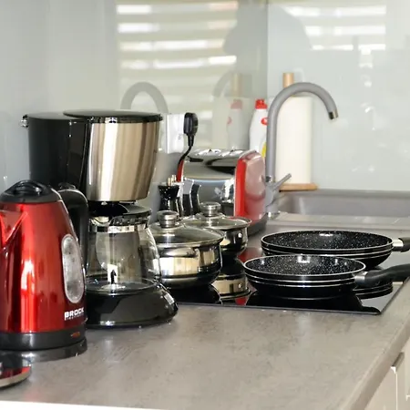 Srebrny Z Garazem * קולובז'ג