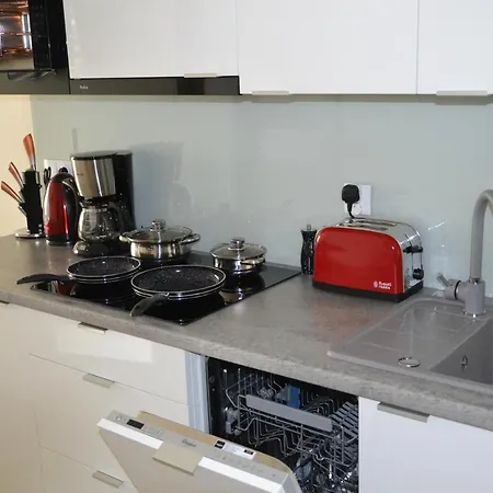 Apartment Srebrny Z Garazem *