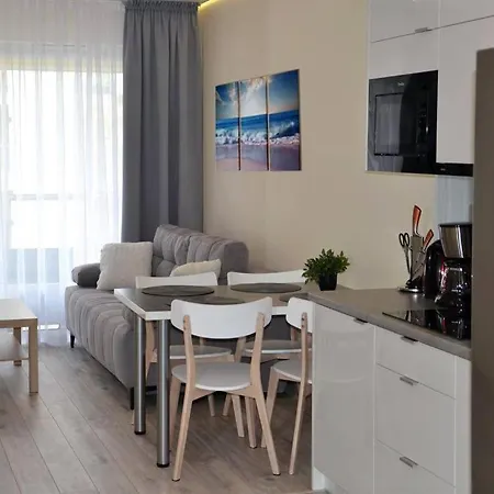 Apartment Srebrny Z Garazem
