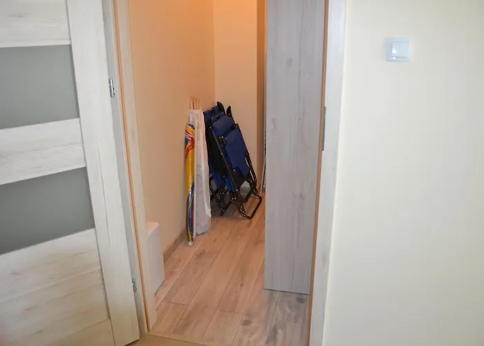 Srebrny Z Garazem Kolberg