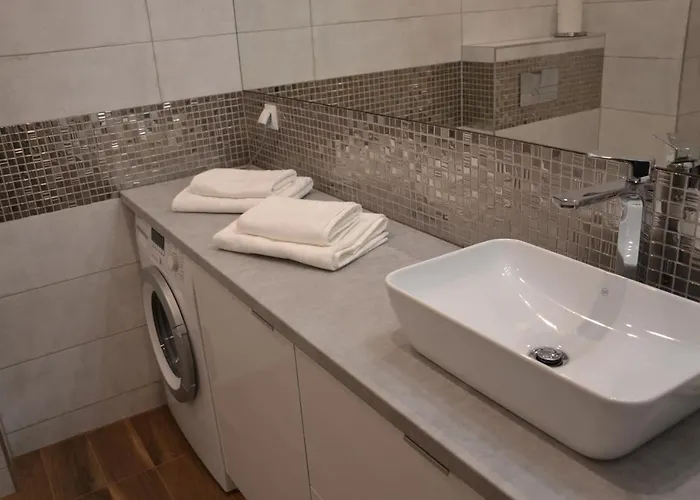 Srebrny Z Garazem * קולובז'ג