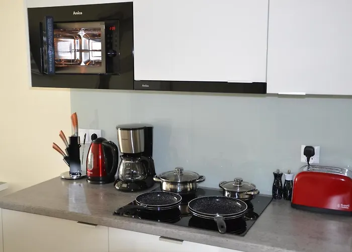 Srebrny Z Garazem Apartment